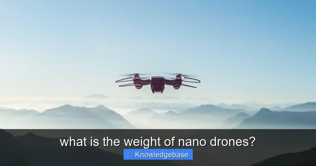Featured image for what is the weight of nano drones?