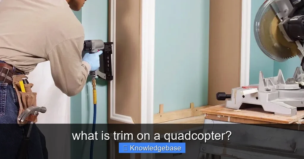 Featured image for what is trim on a quadcopter?