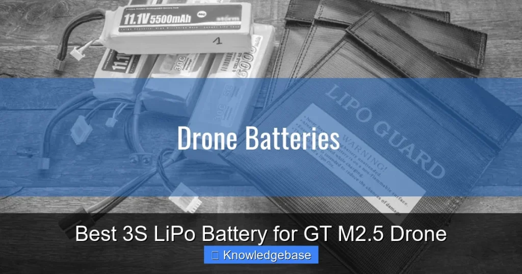 Featured image for Best 3S LiPo Battery for GT M2.5 Drone
