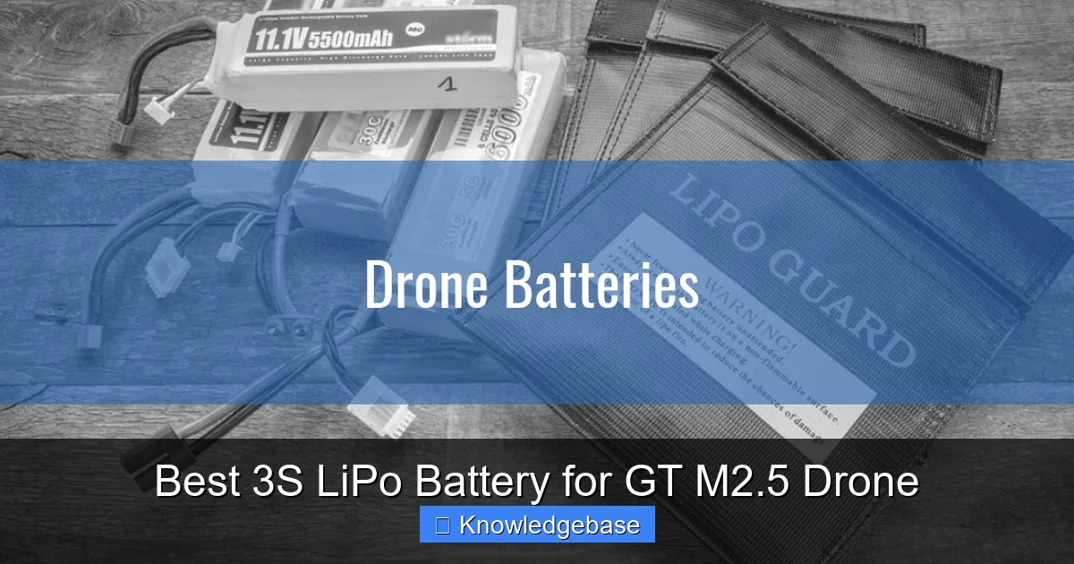 Featured image for Best 3S LiPo Battery for GT M2.5 Drone