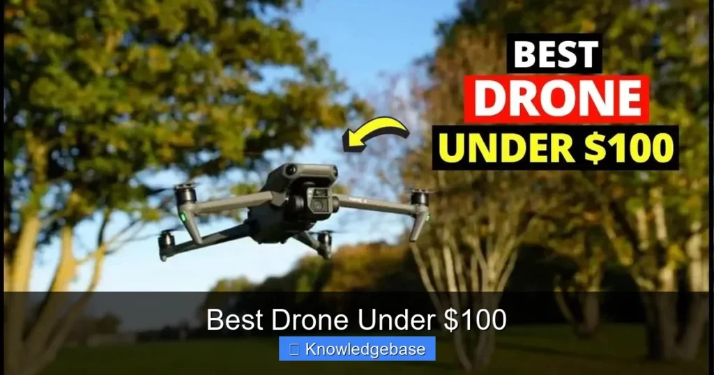 Featured image for Best Drone Under $100