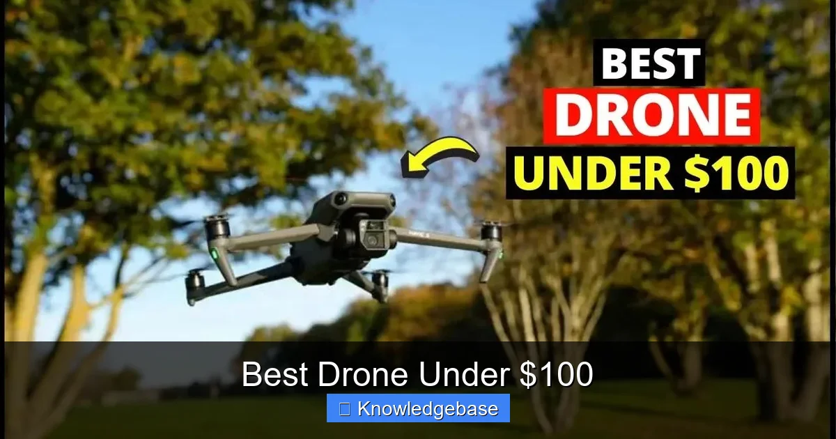 Featured image for Best Drone Under $100