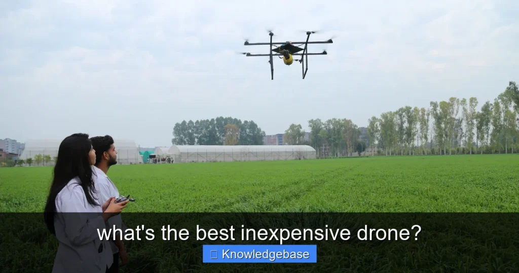 Featured image for what's the best inexpensive drone?