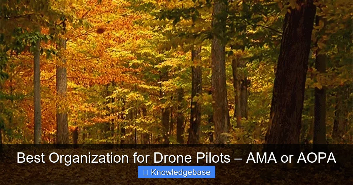 Featured image for Best Organization for Drone Pilots – AMA or AOPA